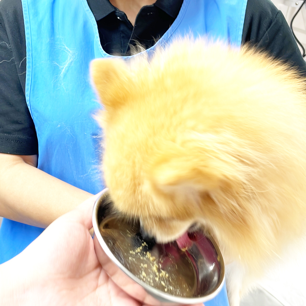 おいしくフィラリア予防♪